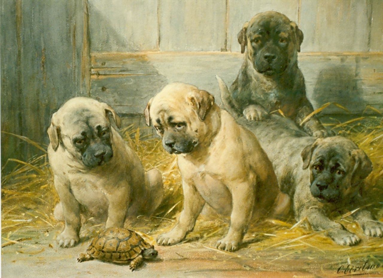 Eerelman O.  | Otto Eerelman, Puppies met schildpad, aquarel op papier, gesigneerd linksonder