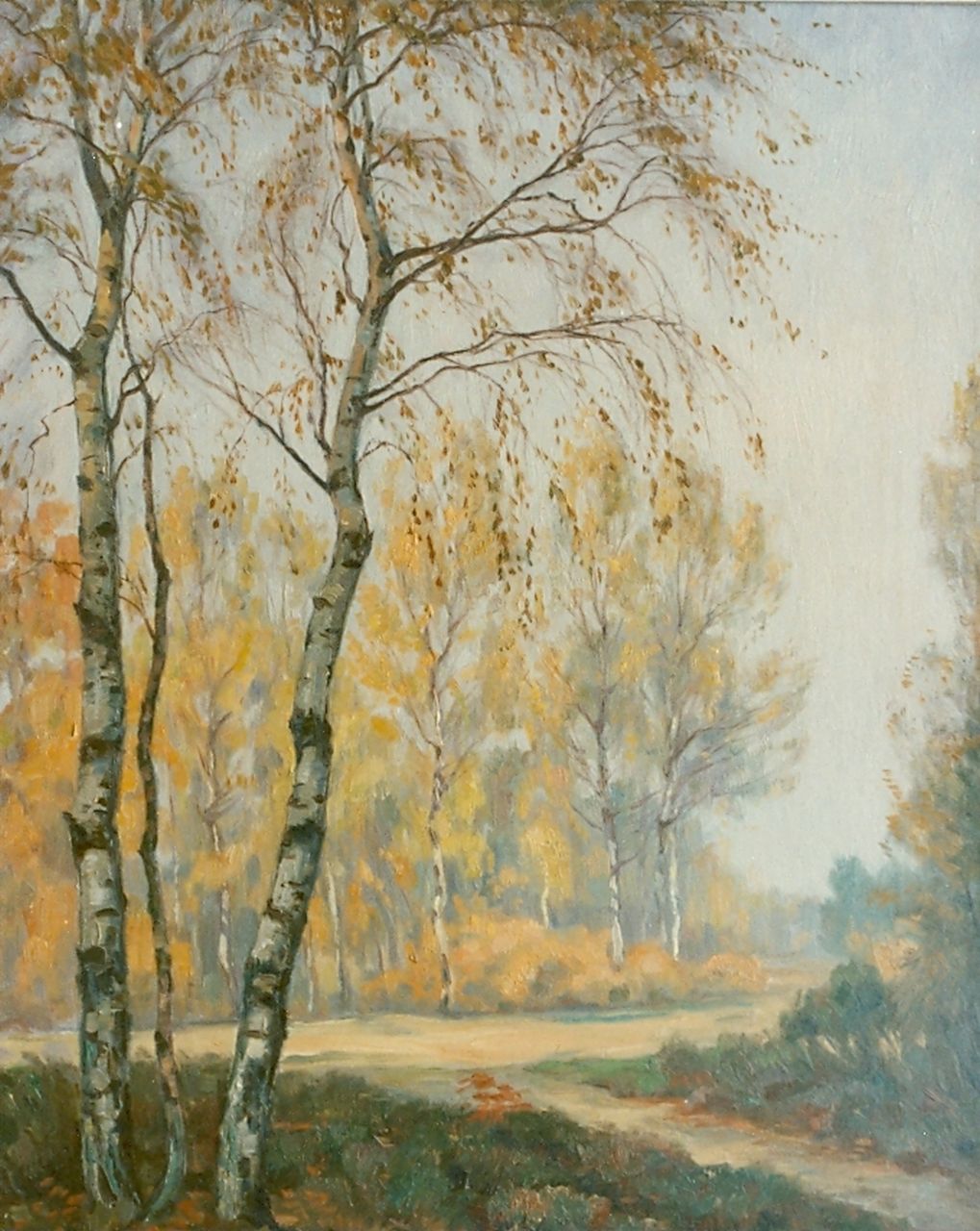 Meijer J.  | Johannes 'Johan' Meijer, Berken in de herfst, olieverf op doek 50,0 x 40,0 cm, gesigneerd rechtsonder