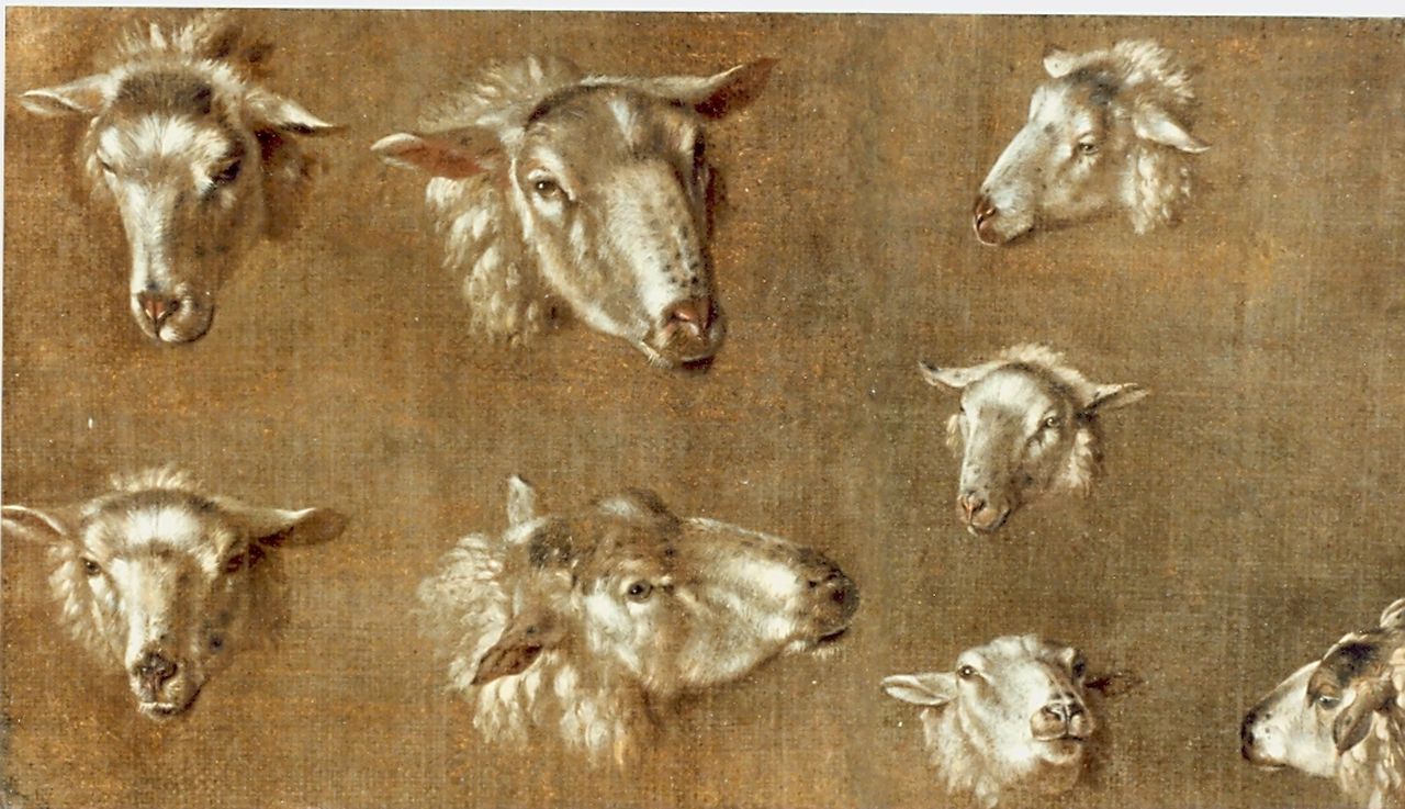 Plas P.  | Pieter Plas, Studie van schapenkoppen, olieverf op doek
