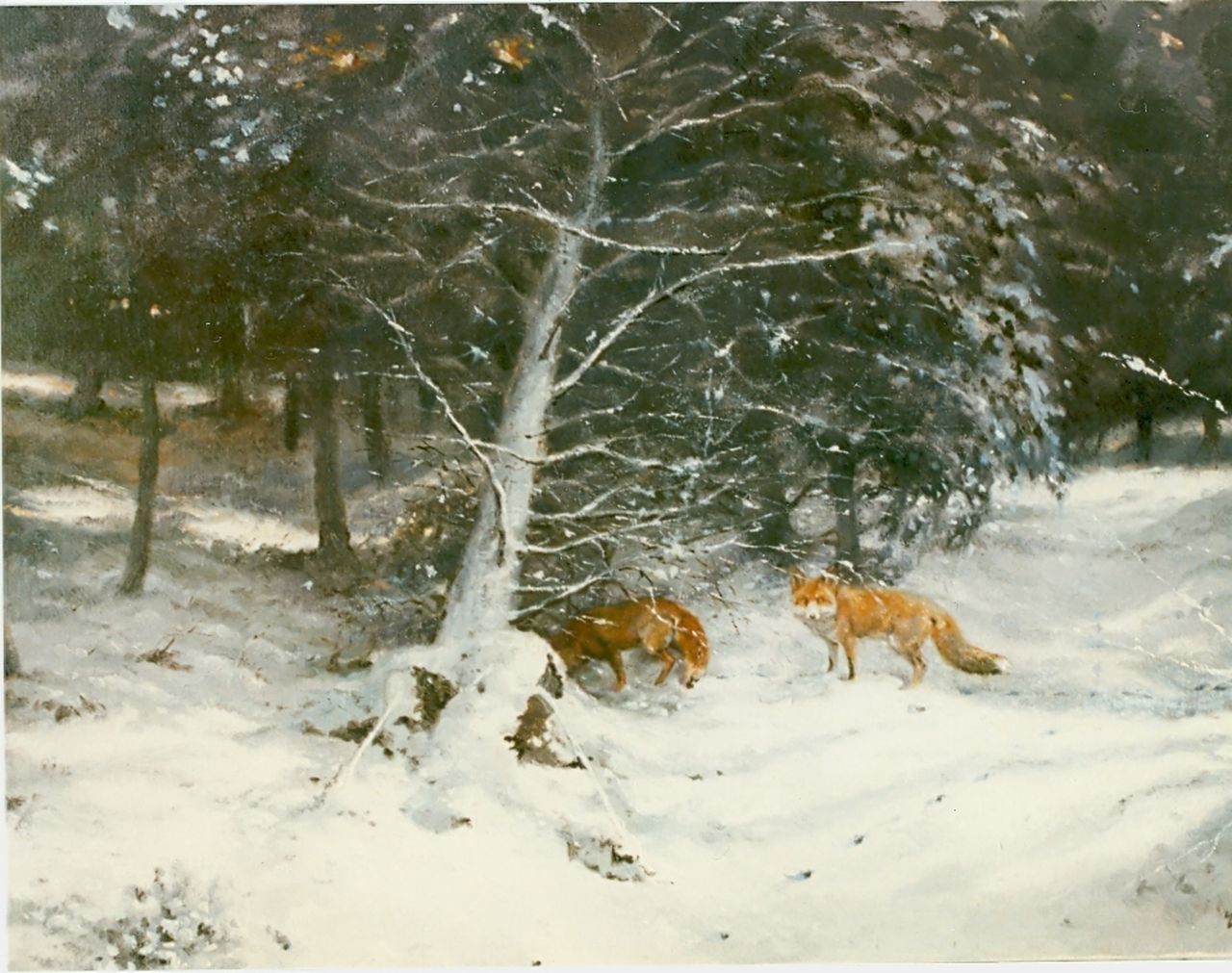 Poortvliet R.  | Rien Poortvliet, Vossen in de sneeuw, olieverf op doek 60,5 x 80,0 cm, gesigneerd rechtsonder