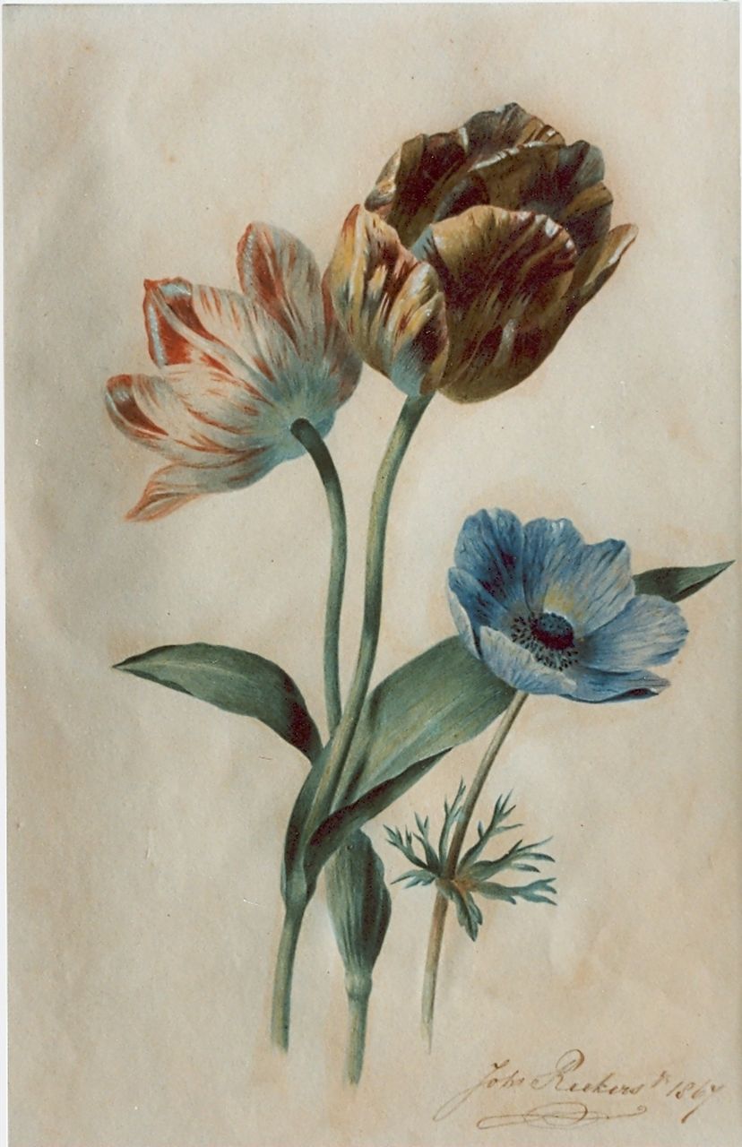 Reekers jr. Joh.  | Johannes Reekers jr., Stilleven van twee tulpen en blauwe anemoon, aquarel op papier 36,4 x 24,1 cm, gesigneerd rechtsonder en gedateerd 1867