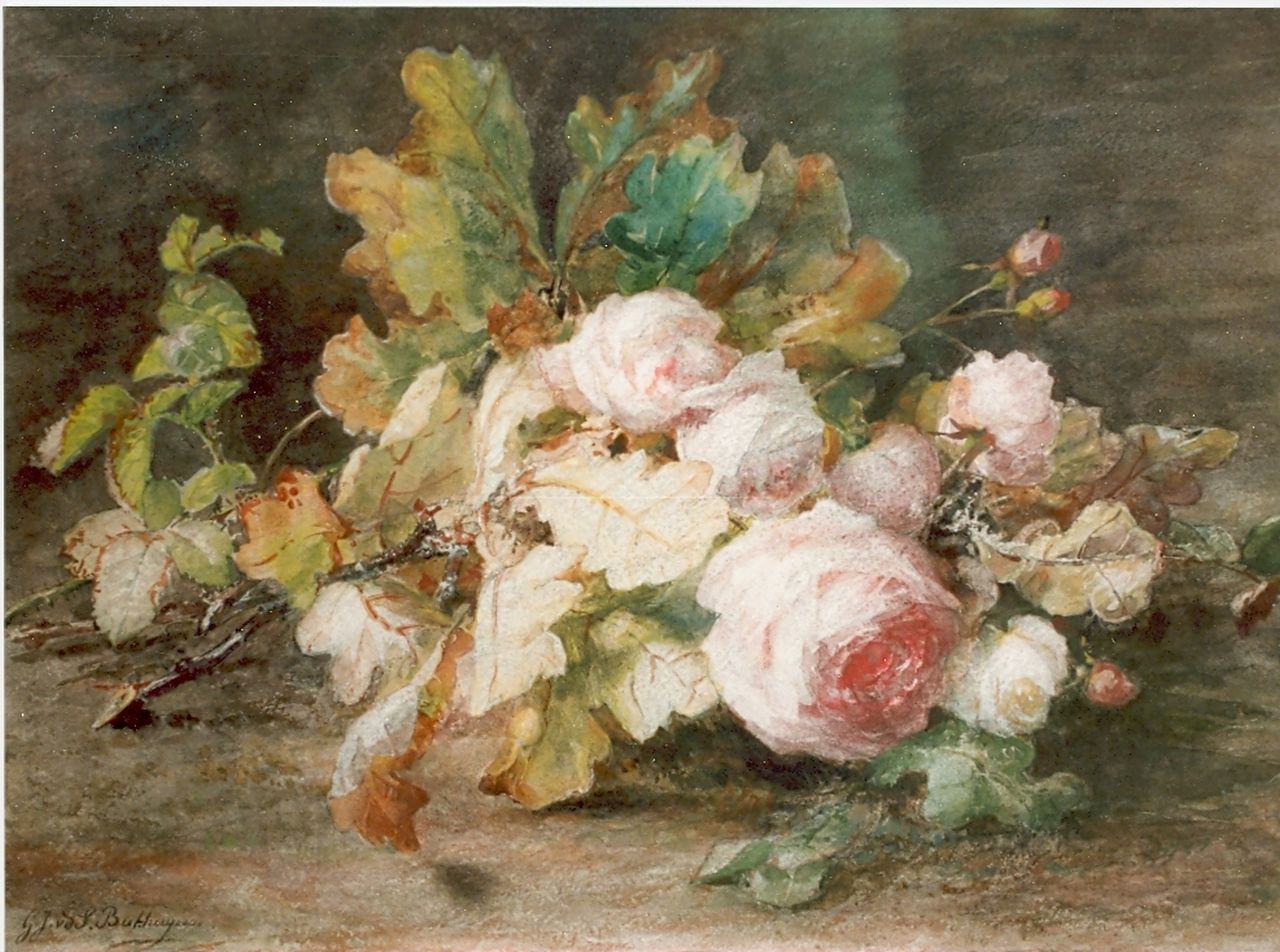 Sande Bakhuyzen G.J. van de | 'Gerardine' Jacoba van de Sande Bakhuyzen, Bourbon rozen, aquarel op papier 33,5 x 48,5 cm, gesigneerd linksonder