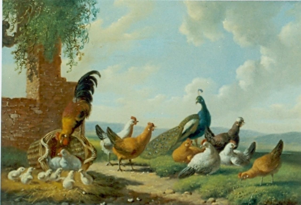 Verhoesen A.  | Albertus Verhoesen, Kippen en pauw op erf, olieverf op paneel 13,2 x 17,3 cm, gesigneerd linksonder en gedateerd 1874