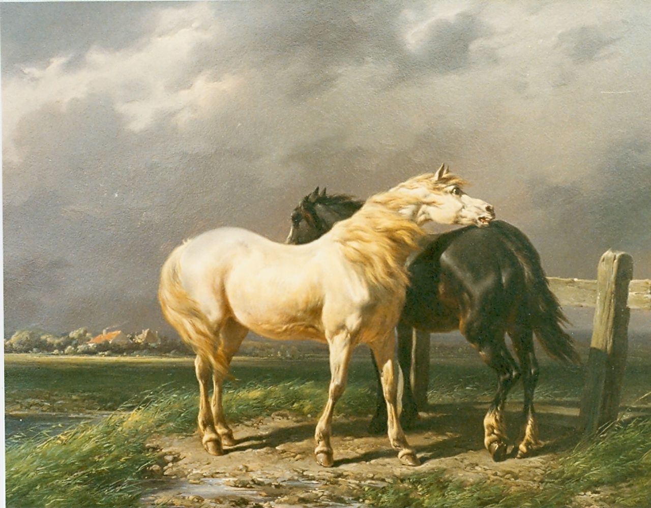 Verschuur W.  | Wouterus Verschuur, Paarden in de weide, olieverf op paneel 28,0 x 36,0 cm, gesigneerd rechtsonder