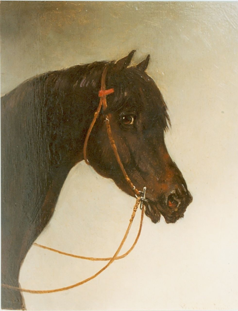 Verschuur jr. W.  | Wouter Verschuur jr., Paardenhoofd, olieverf op paneel 23,5 x 19,5 cm, gesigneerd rechtsonder