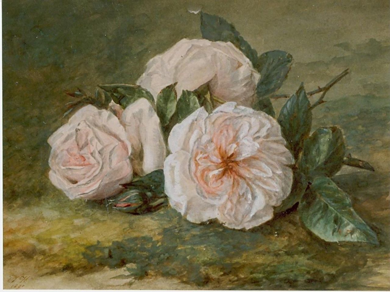 Haanen A.J.  | Adriana Johanna Haanen, Een takje roze rozen, aquarel op papier 21,0 x 25,6 cm, gesigneerd linksonder en gedateerd 1890