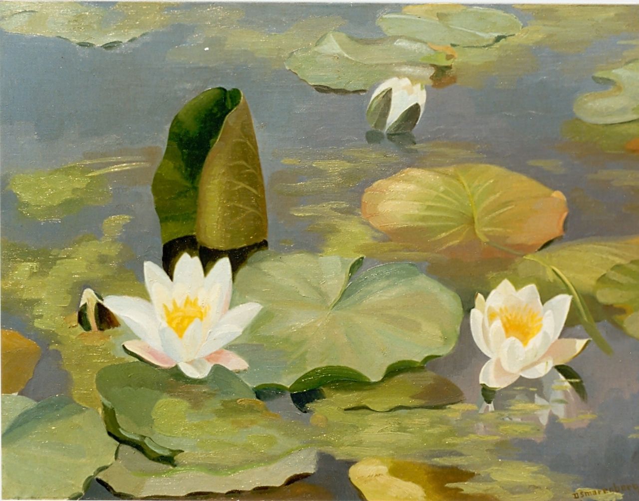 Smorenberg D.  | Dirk Smorenberg, Waterlelies op een plas, olieverf op doek 45,0 x 60,0 cm, gesigneerd rechtsonder