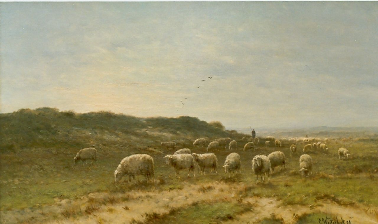Westerbeek C.  | Cornelis Westerbeek, Schapen op de heide, olieverf op doek 60,0 x 100,0 cm, gesigneerd rechtsonder en gedateerd '99