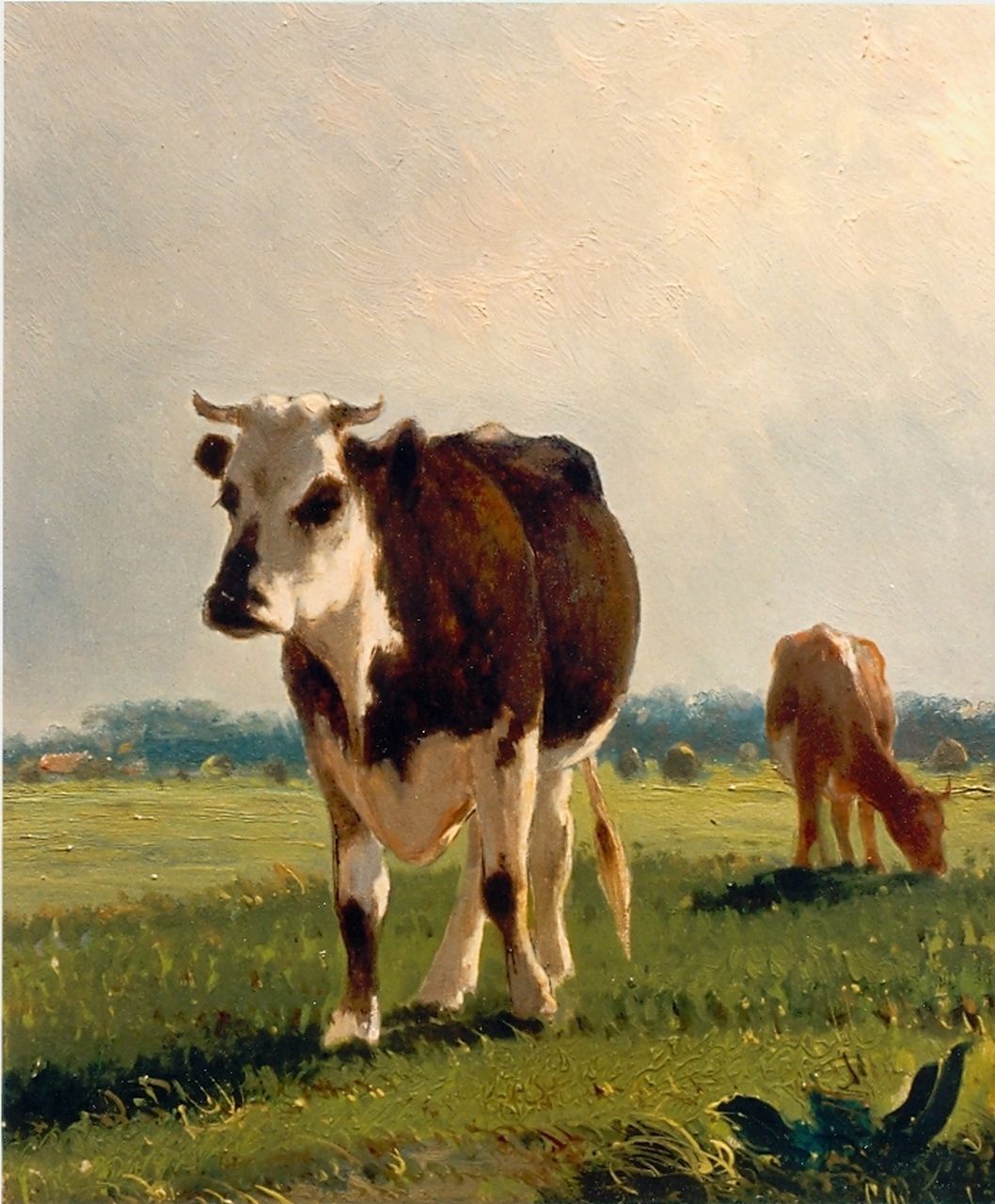 Westerbeek C.  | Cornelis Westerbeek, Weidelandschap met koeien, olieverf op paneel 29,6 x 25,2 cm, gesigneerd rechtsonder