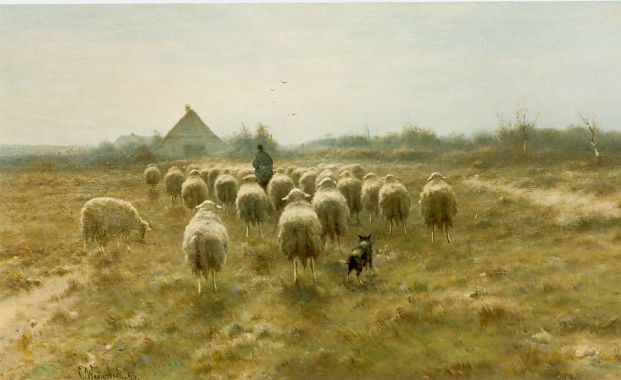 Westerbeek C.  | Cornelis Westerbeek, Op weg naar de schaapskooi, olieverf op paneel 60,0 x 105,0 cm, gesigneerd linksonder