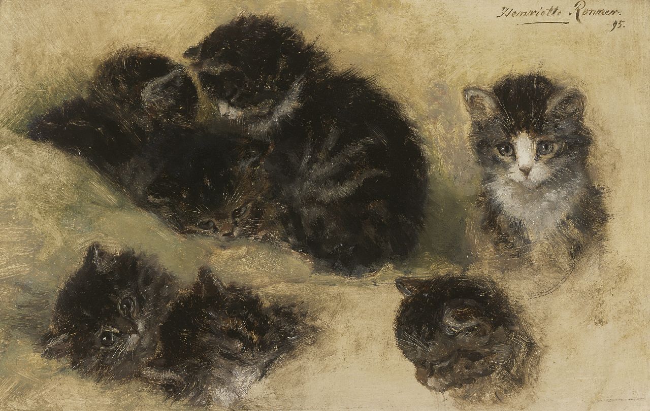 Ronner-Knip H.  | Henriette Ronner-Knip, Studie van jonge katjes, olieverf op papier op paneel 25,1 x 39,7 cm, gesigneerd rechtsboven en gedateerd '95
