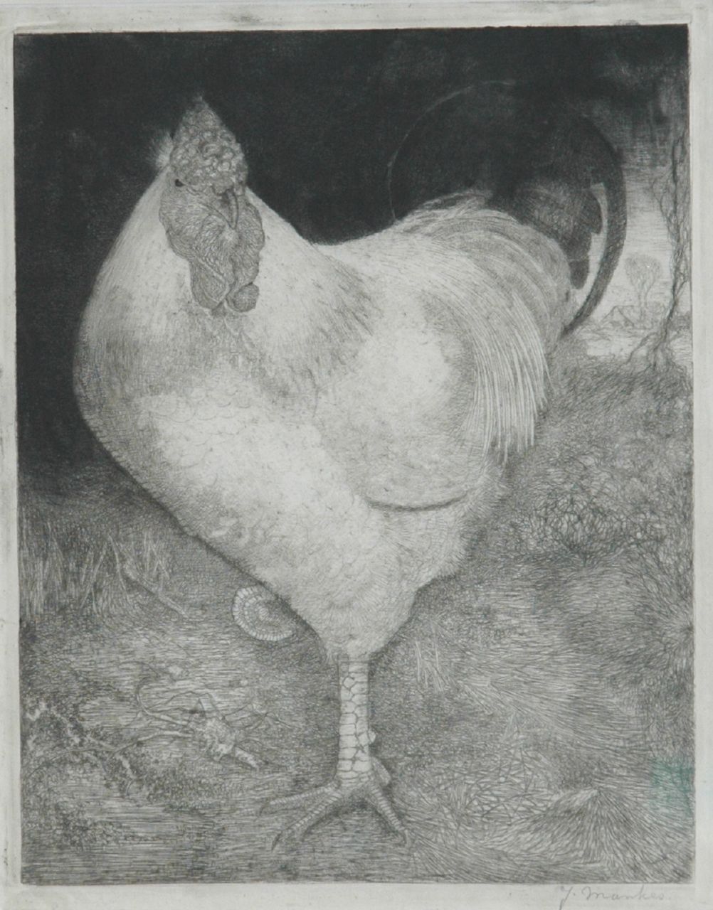 Mankes J.  | Jan Mankes, Grote haan, ets op papier 26,0 x 21,0 cm, gesigneerd rechtsonder en te dateren 1917