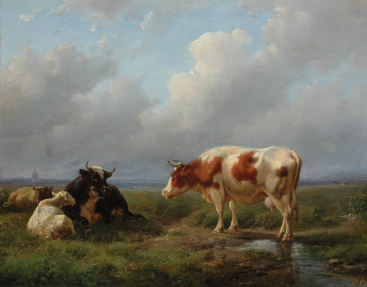 Tom J.B.  | Jan Bedijs Tom, Koeien en schapen in de wei, olieverf op paneel 27,6 x 34,8 cm, gesigneerd rechtsonder met initialen