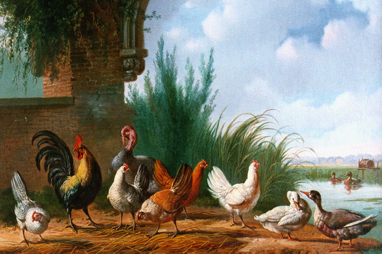 Verhoesen A.  | Albertus Verhoesen, Pluimvee aan de waterkant, olieverf op doek 34,3 x 46,0 cm, gesigneerd linksonder en gedateerd 1863