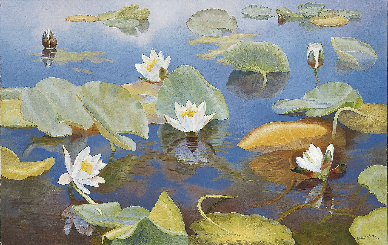 Smorenberg D.  | Dirk Smorenberg, Waterlelies, olieverf op doek 64,8 x 100,3 cm, gesigneerd rechtsonder