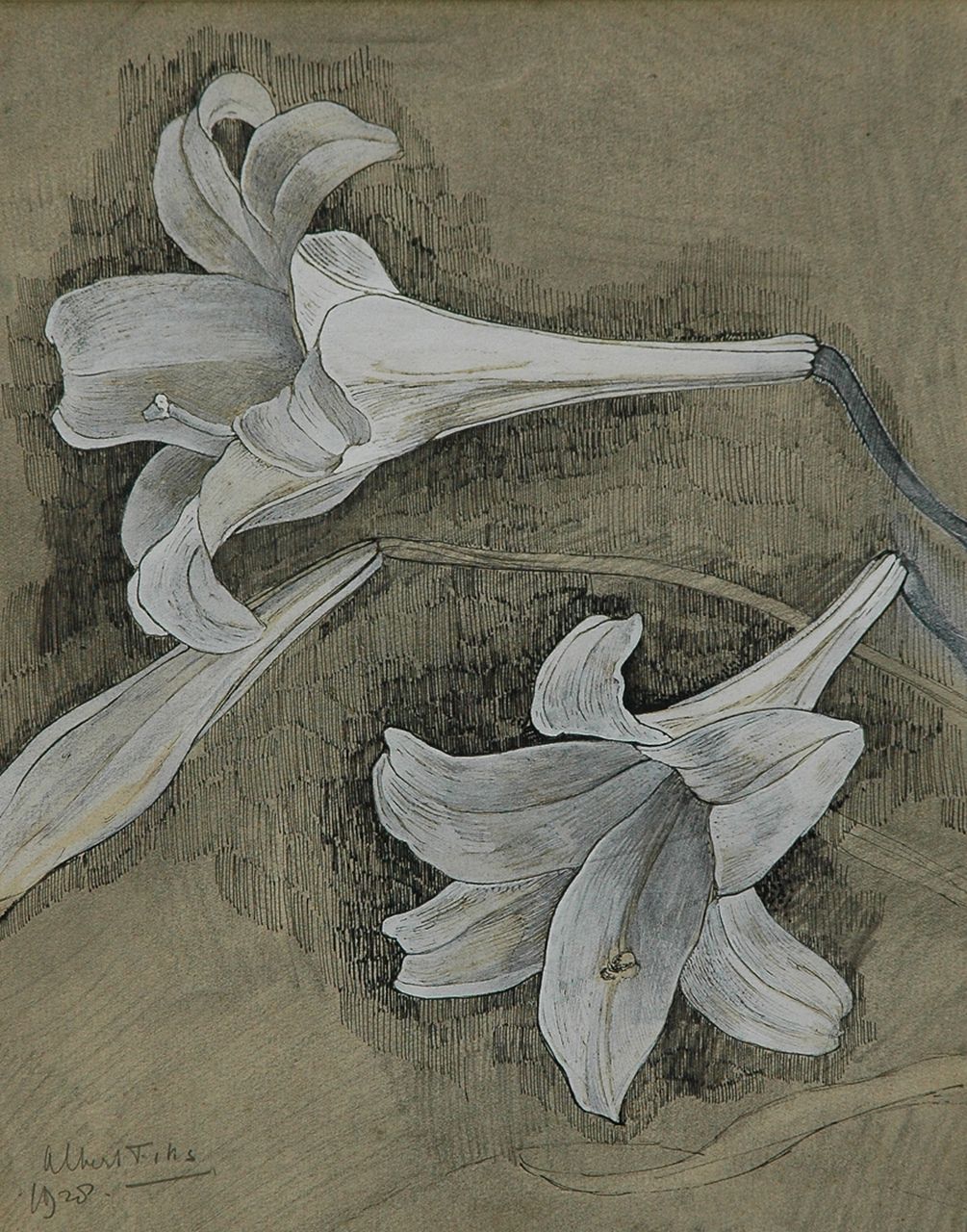Fiks A.  | Albert Fiks, Witte lelies, pen, inkt en gouache op papier 29,5 x 23,4 cm, gesigneerd linksonder en gedateerd 1928