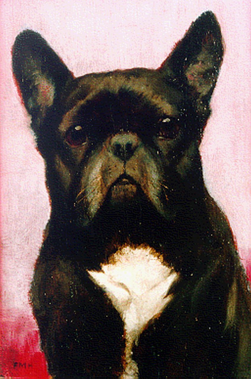 Hollams F.M.  | Francis Mabel Hollams, Franse Bulldog, olieverf op paneel 24,3 x 16,2 cm, gesigneerd linksonder met initialen