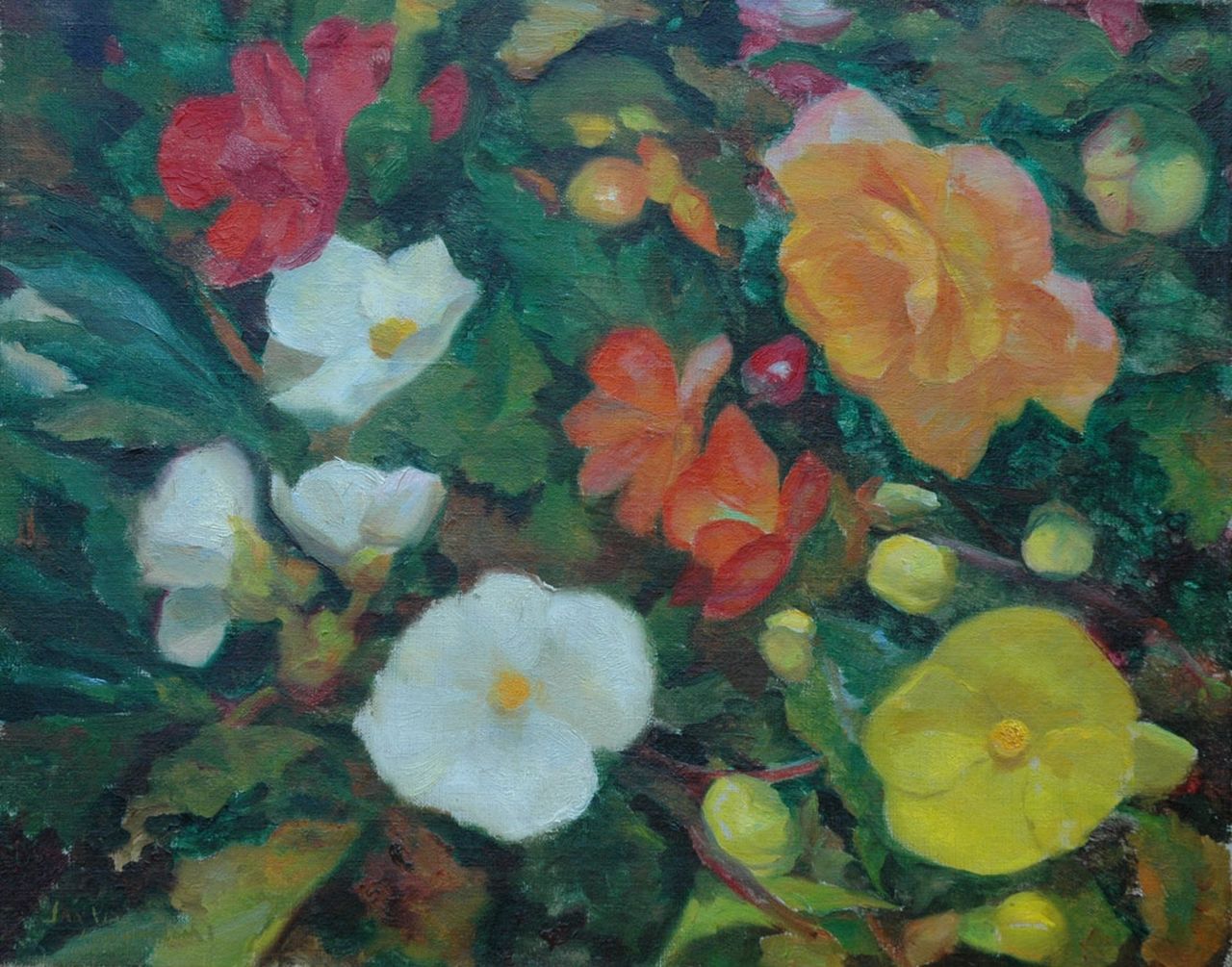 Visser J.  | Jan Visser, Begonia's, olieverf op doek 40,2 x 50,1 cm, gesigneerd linksonder