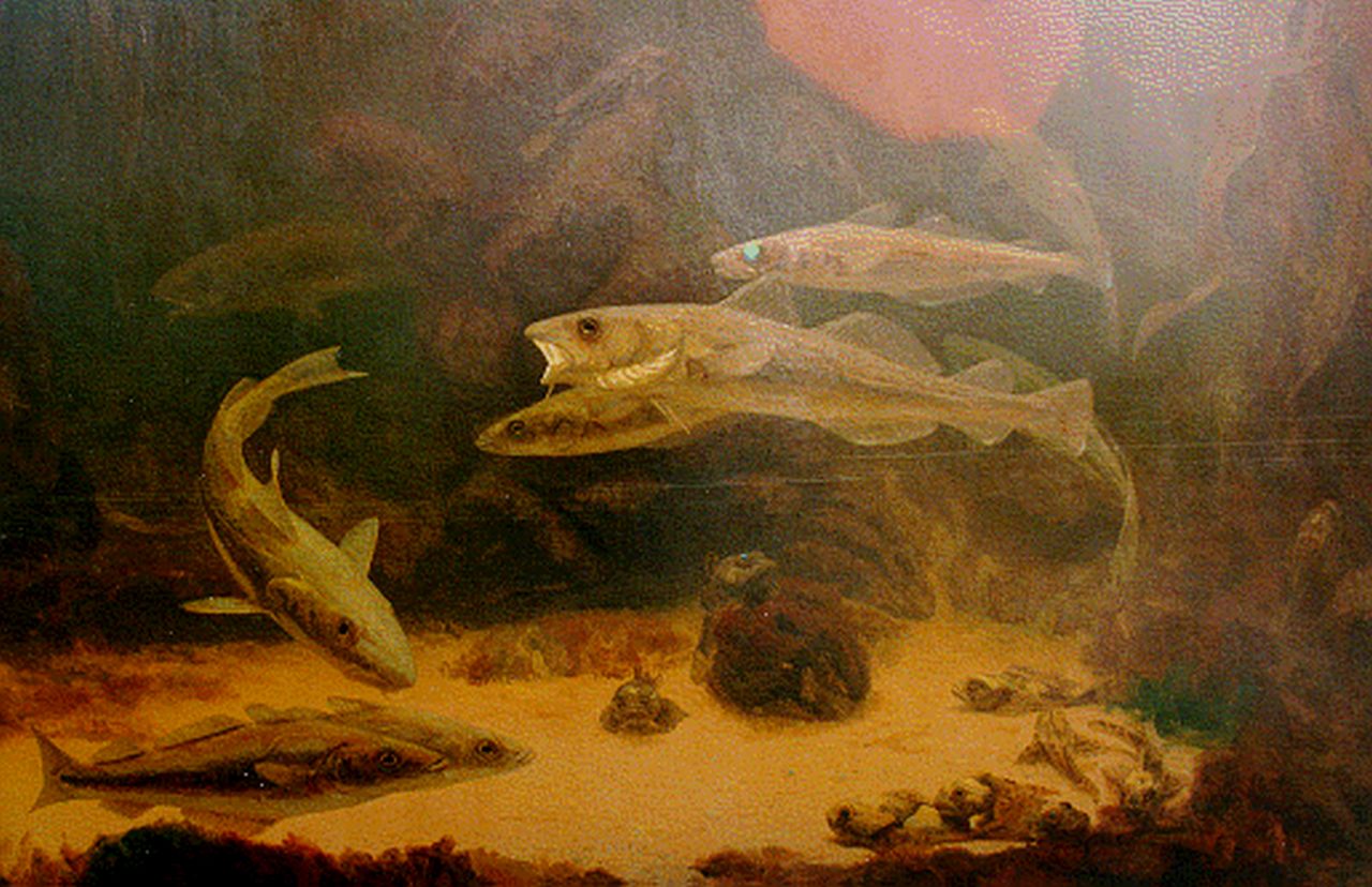 Dijsselhof G.W.  | Gerrit Willem Dijsselhof, Vissen in een aquarium, olieverf op doek 81,0 x 120,5 cm, gesigneerd linksonder
