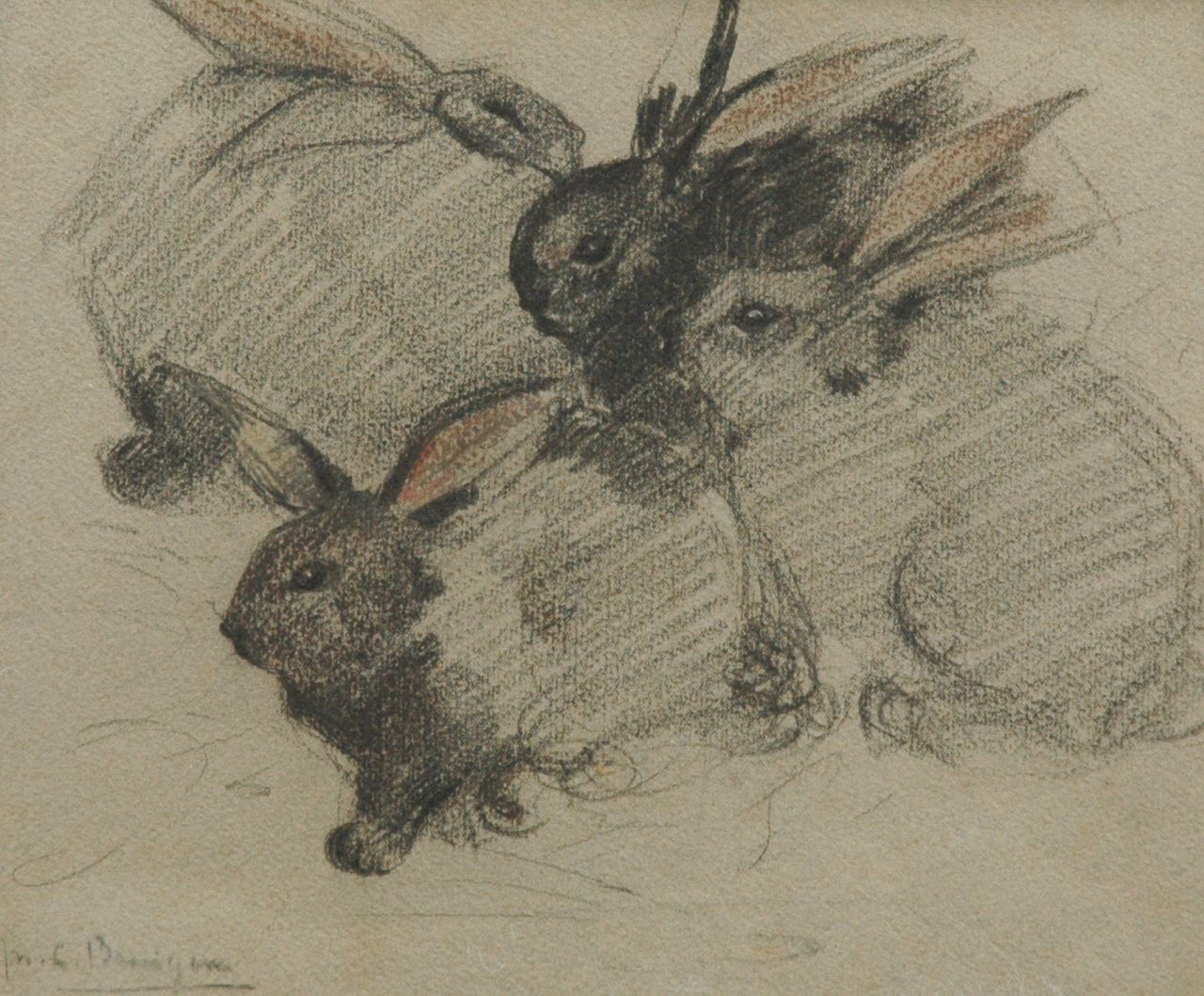 Bruigom M.C.  | Margaretha Cornelia 'Greta' Bruigom, Vier konijnen, krijt op papier 24,1 x 29,0 cm, gesigneerd linksonder