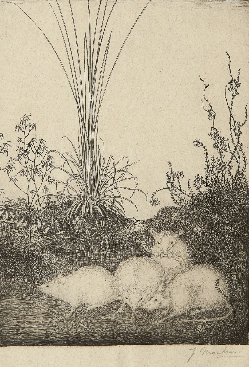 Mankes J.  | Jan Mankes, Vier muizen, ets op papier 19,5 x 14,5 cm, gesigneerd rechtsonder (in potlood) en te dateren 1916