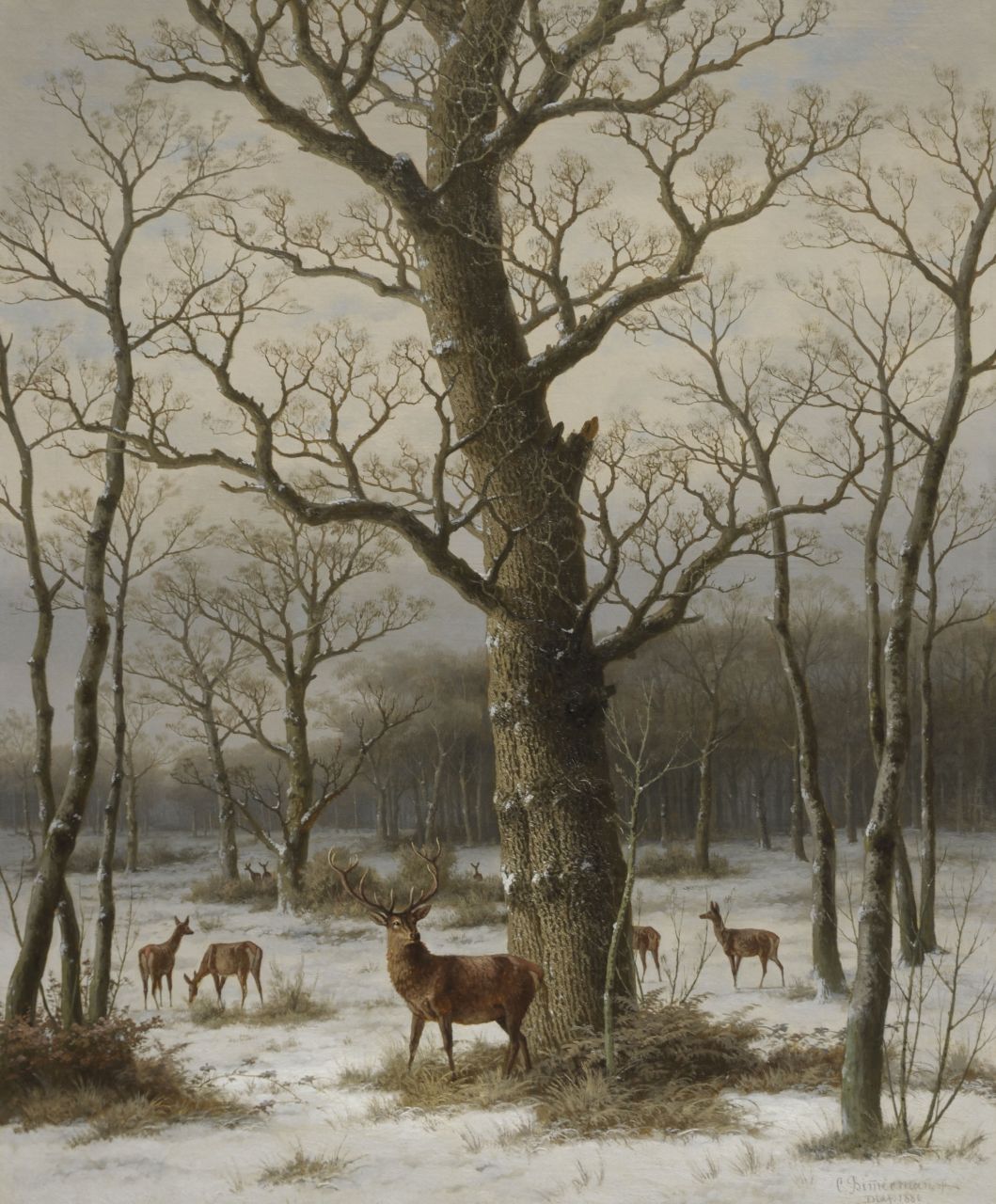 Bimmermann C.  | Caesar Bimmermann, Besneeuwd eikenbos met hert en hindes, olieverf op doek 94,3 x 77,1 cm, gesigneerd rechtsonder en gedateerd 'Dldf. 1886'