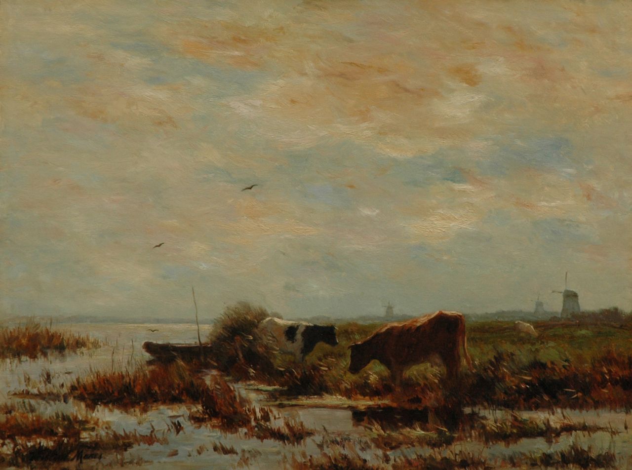 Maris W.  | Willem Maris, Grazende koeien, olieverf op doek 61,0 x 80,9 cm, gesigneerd linksonder