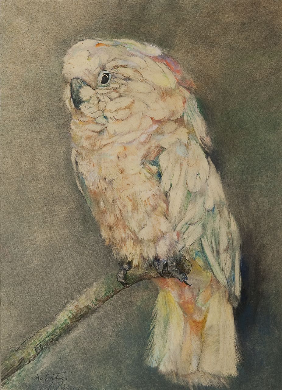 Pieneman J.H.  | 'Johanna' Hendrika Pieneman, Kaketoe, pastel op papier 47,2 x 34,3 cm, gesigneerd linksonder