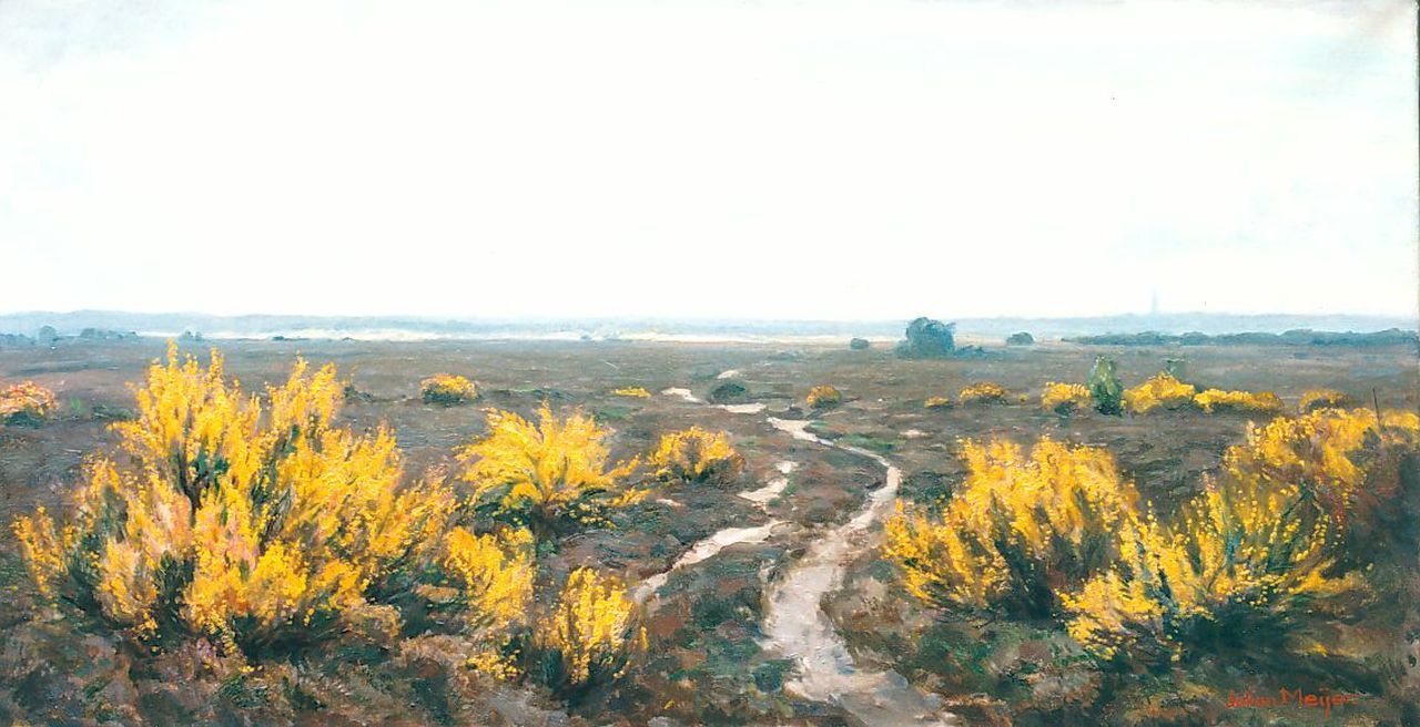Meijer J.  | Johannes 'Johan' Meijer, Zomerlandschap met brem, olieverf op doek 44,0 x 84,0 cm