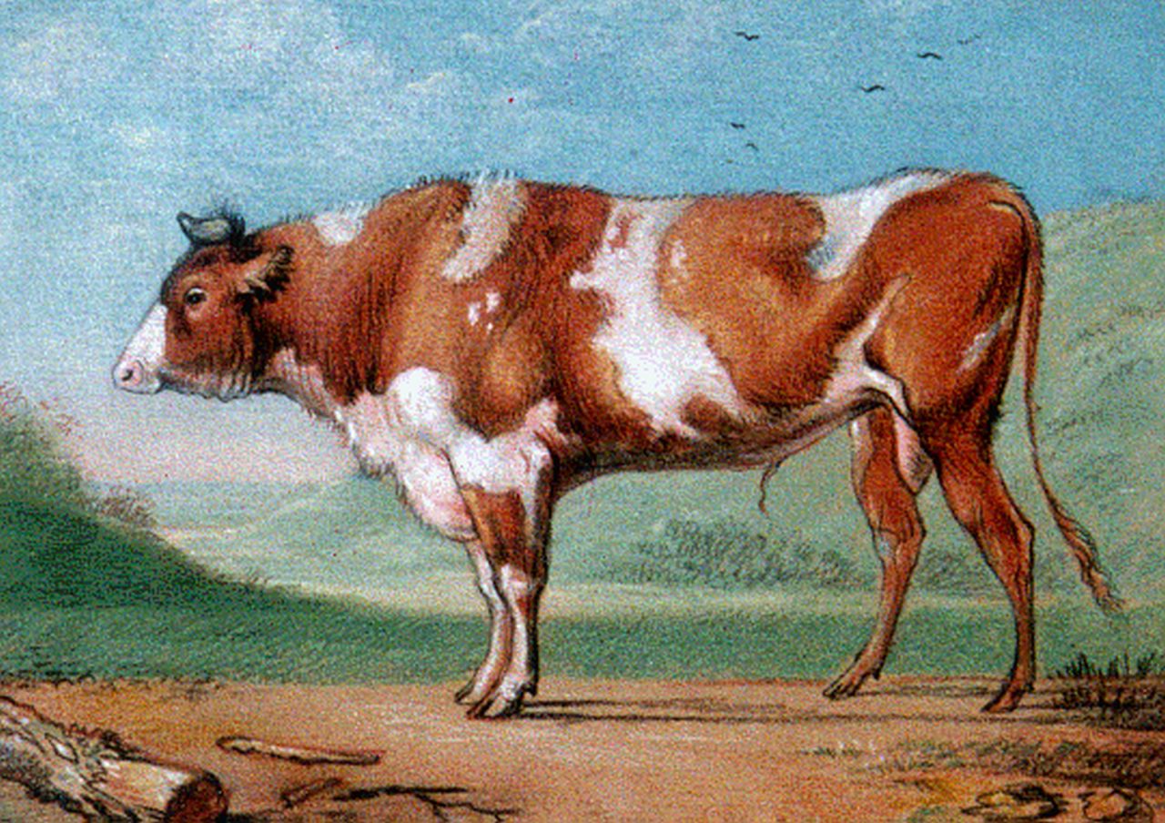 Verboeckhoven E.J.  | Eugène Joseph Verboeckhoven, Bruinwitte stier, pastel op papier 13,4 x 18,6 cm, gesigneerd linksonder monogram en gedateerd 1817