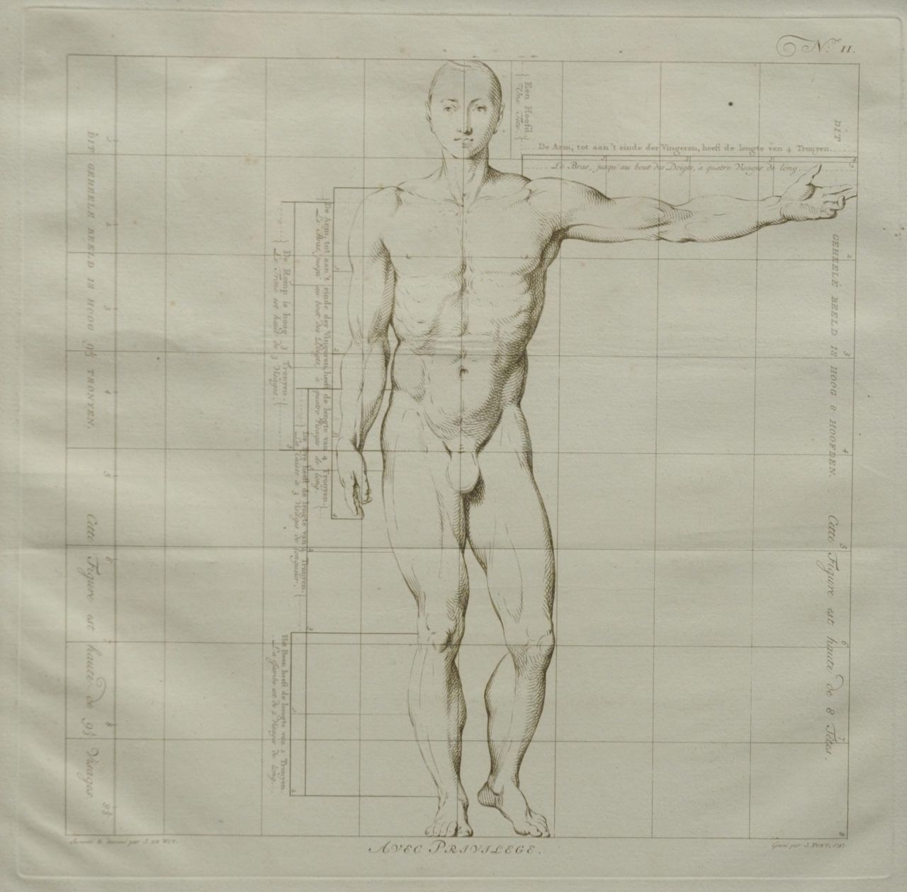 Wit J. de | Jacob de Wit, De ideale proporties van het menselijk lichaam - Man (no.II), gravure op papier 40,0 x 40,0 cm