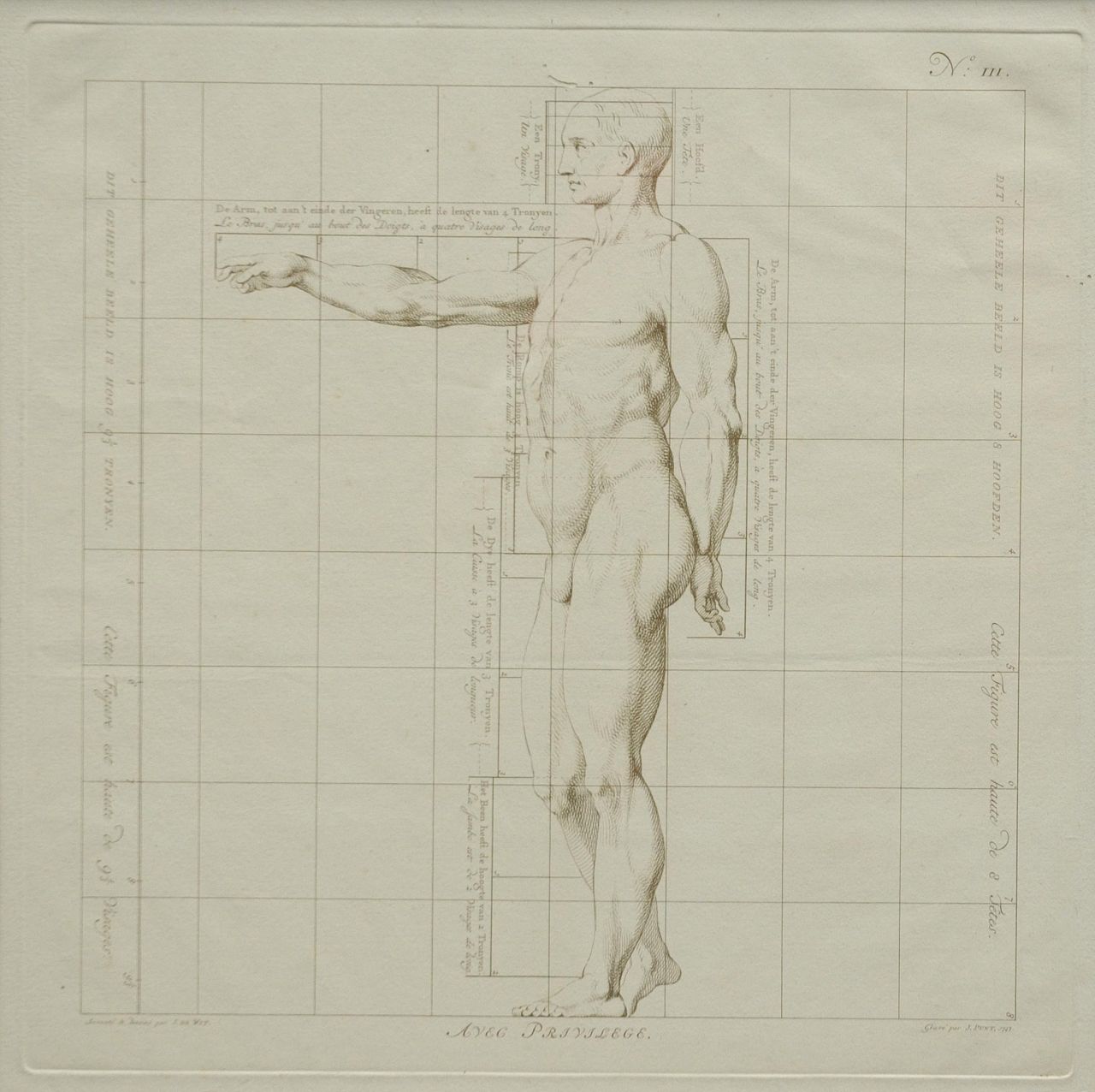 Wit J. de | Jacob de Wit, De ideale proporties van het menselijk lichaam - Man (no.III), gravure op papier 40,0 x 40,0 cm