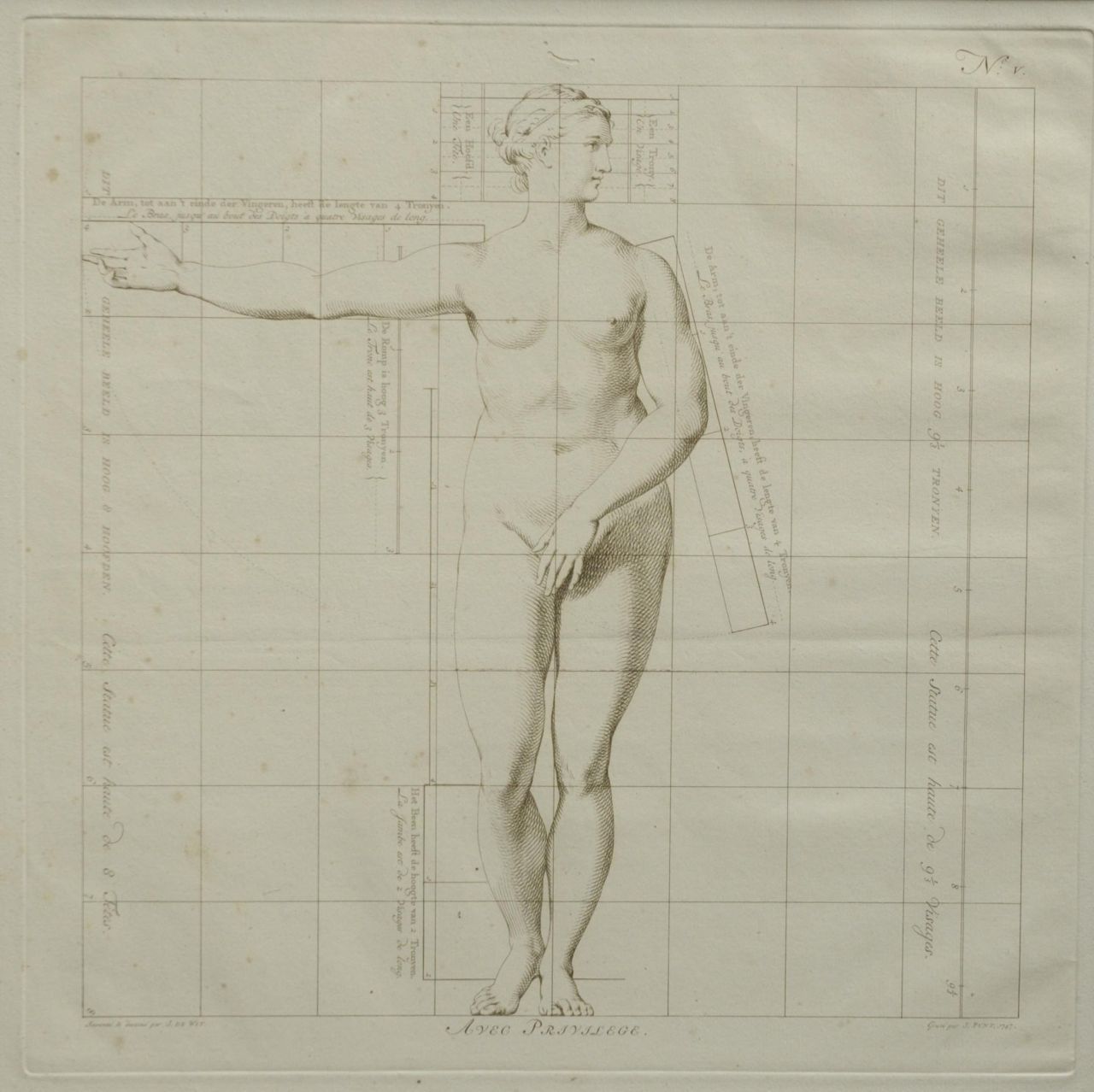 Wit J. de | Jacob de Wit, De ideale proporties van het menselijk lichaam - Vrouw (no.V), gravure op papier 40,0 x 40,0 cm
