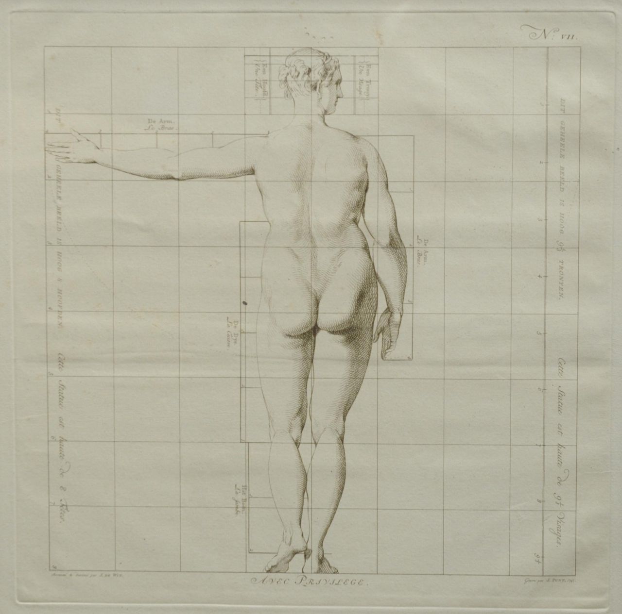 Wit J. de | Jacob de Wit, De ideale proporties van het menselijk lichaam - Vrouw (no.VII), gravure op papier 40,0 x 40,0 cm