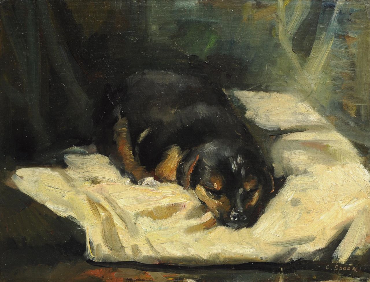 Spoor C.R.H.  | 'Cornelis' Rudolf Hendrik  Spoor, Slapende hond, olieverf op doek op board 28,0 x 36,5 cm, gesigneerd rechtsonder