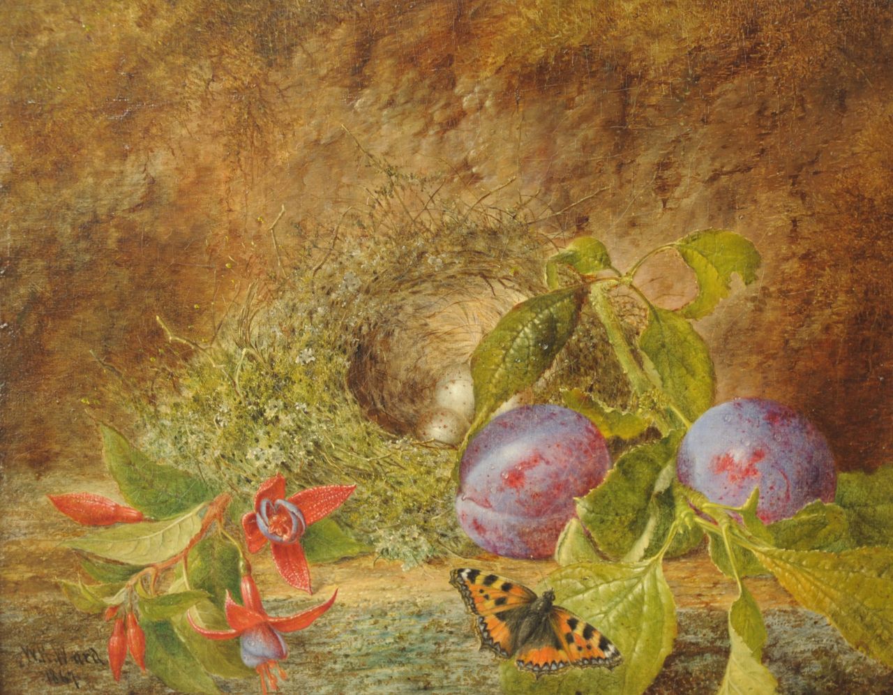 Ward W.H.  | William Henry Ward | Schilderijen te koop aangeboden | Stilleven met vogelnestje en vlinder, olieverf op doek 20,4 x 24,8 cm, gesigneerd linksonder en gedateerd 1867