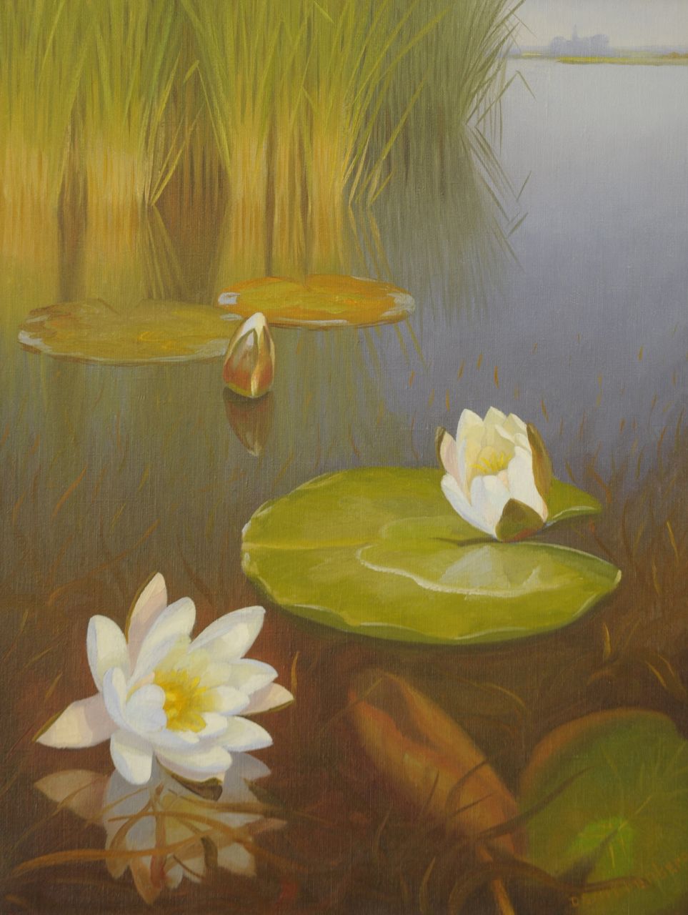 Smorenberg D.  | Dirk Smorenberg | Schilderijen te koop aangeboden | Waterlelies in de Loosdrechtse plassen, olieverf op doek 50,5 x 39,0 cm, gesigneerd rechtsonder
