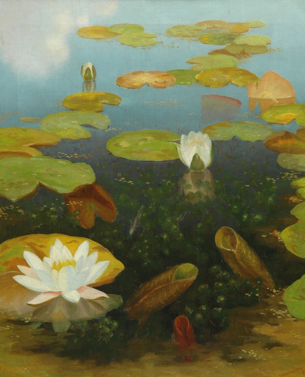 Smorenberg D.  | Dirk Smorenberg, Waterlelies, olieverf op doek 59,8 x 49,8 cm, gesigneerd rechtsonder