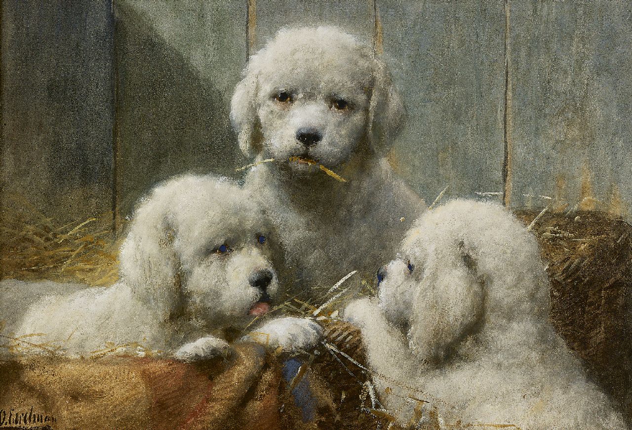 Eerelman O.  | Otto Eerelman, Drie pups in een mand, aquarel op papier 36,0 x 53,5 cm, gesigneerd linksonder