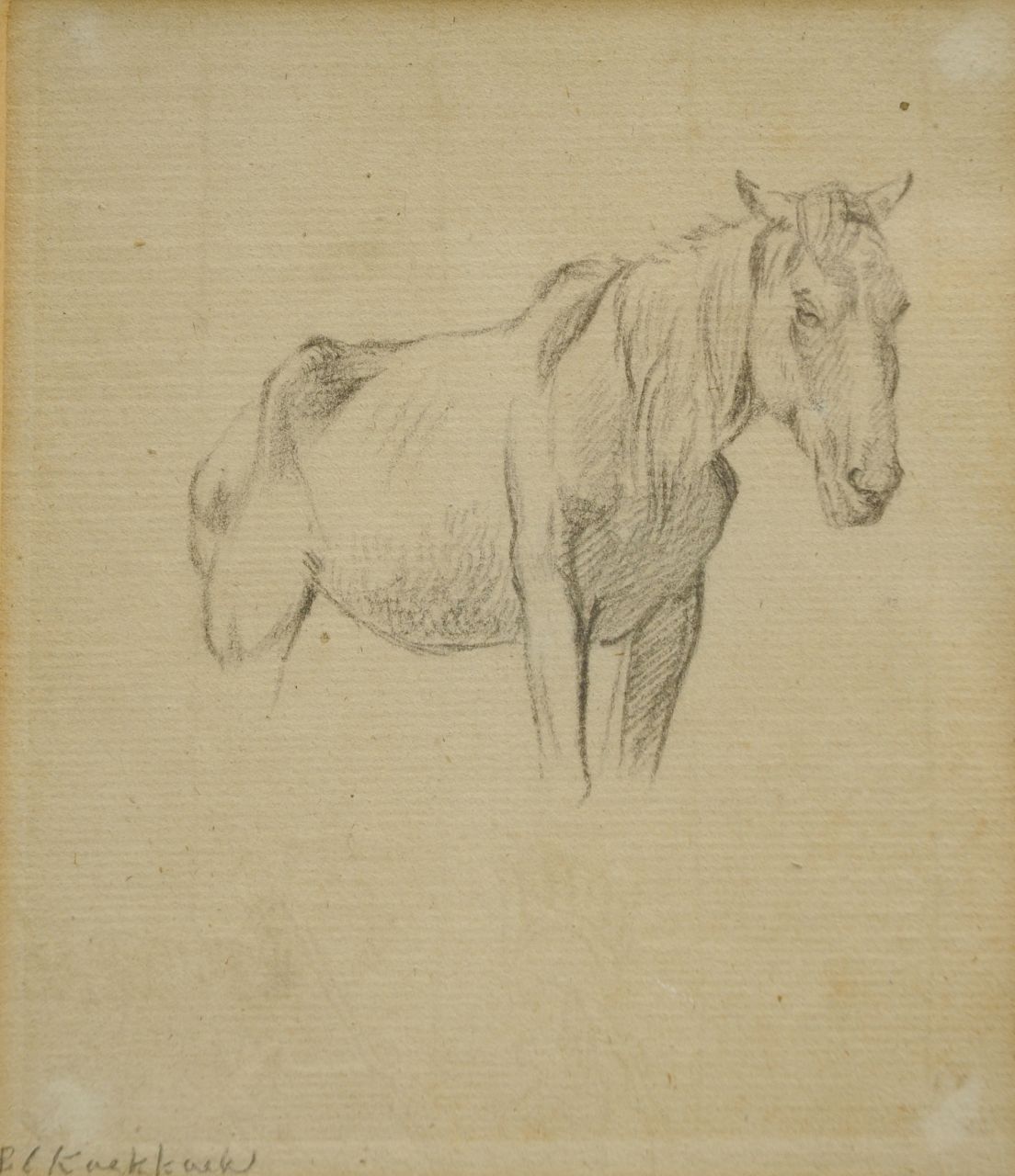Koekkoek B.C.  | Barend Cornelis Koekkoek, Studie van een paard, krijt op papier 14,3 x 12,5 cm, gesigneerd linksonder