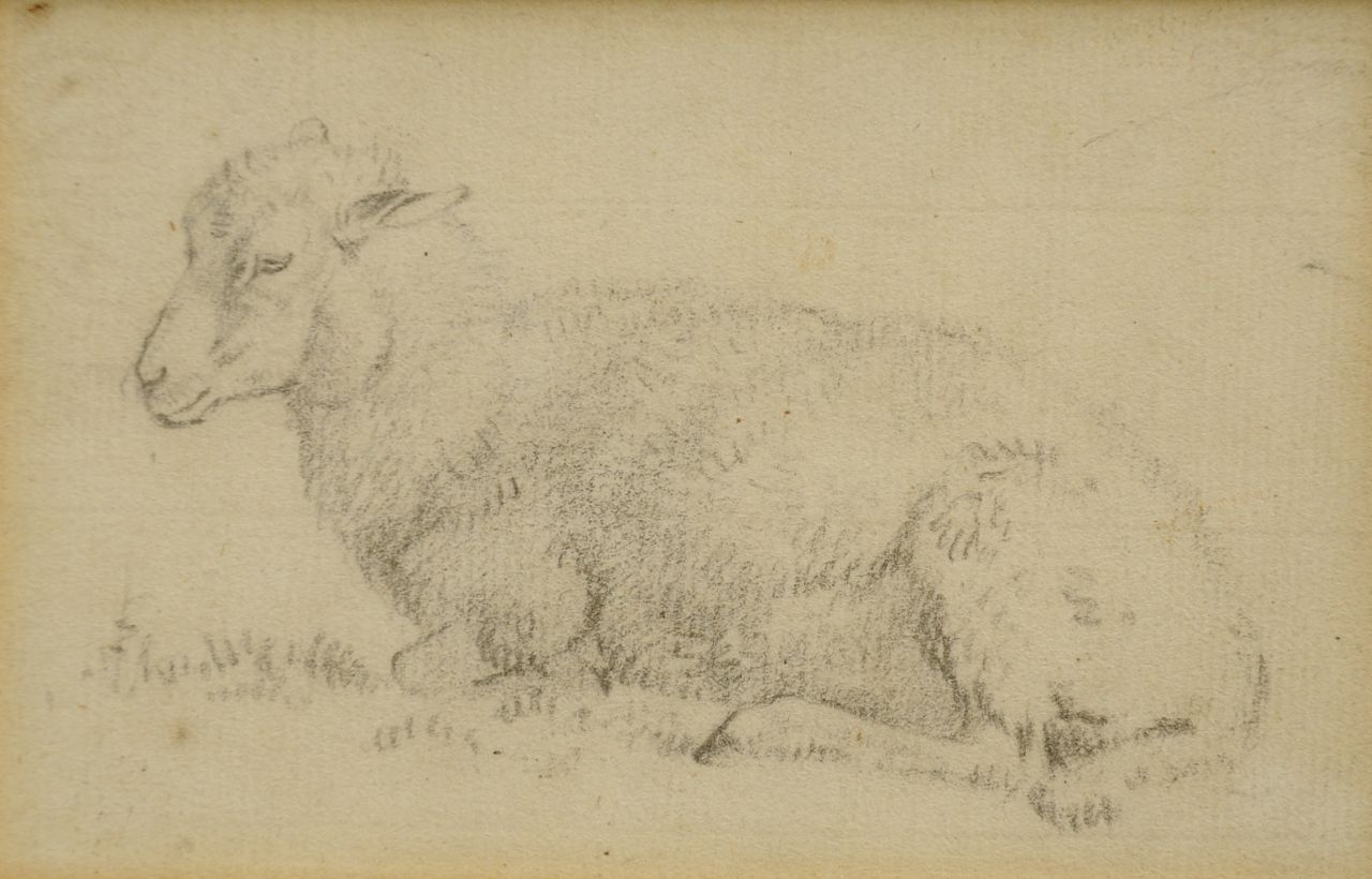 Koekkoek B.C.  | Barend Cornelis Koekkoek, Studie van een lam, krijt op papier 7,3 x 11,3 cm