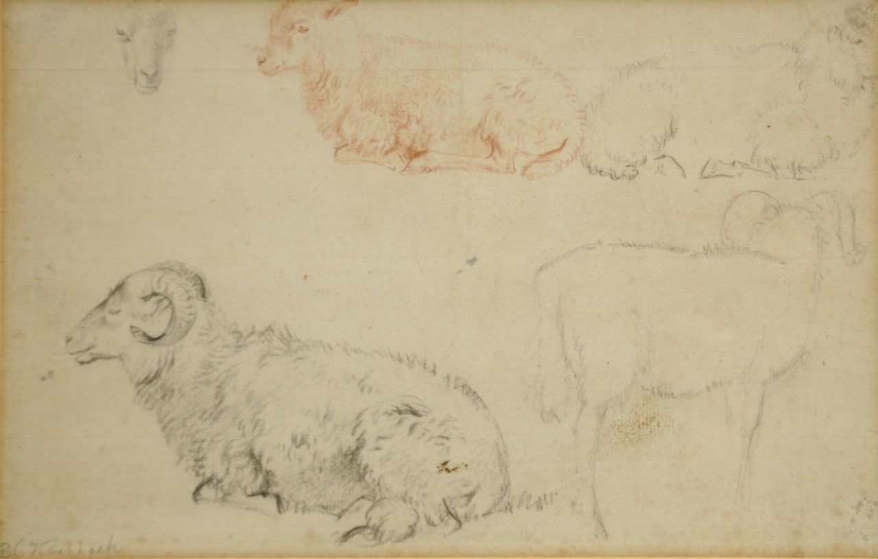 Koekkoek B.C.  | Barend Cornelis Koekkoek, Studie van rammen en schapen, krijt op papier 15,2 x 23,8 cm, gesigneerd linksonder