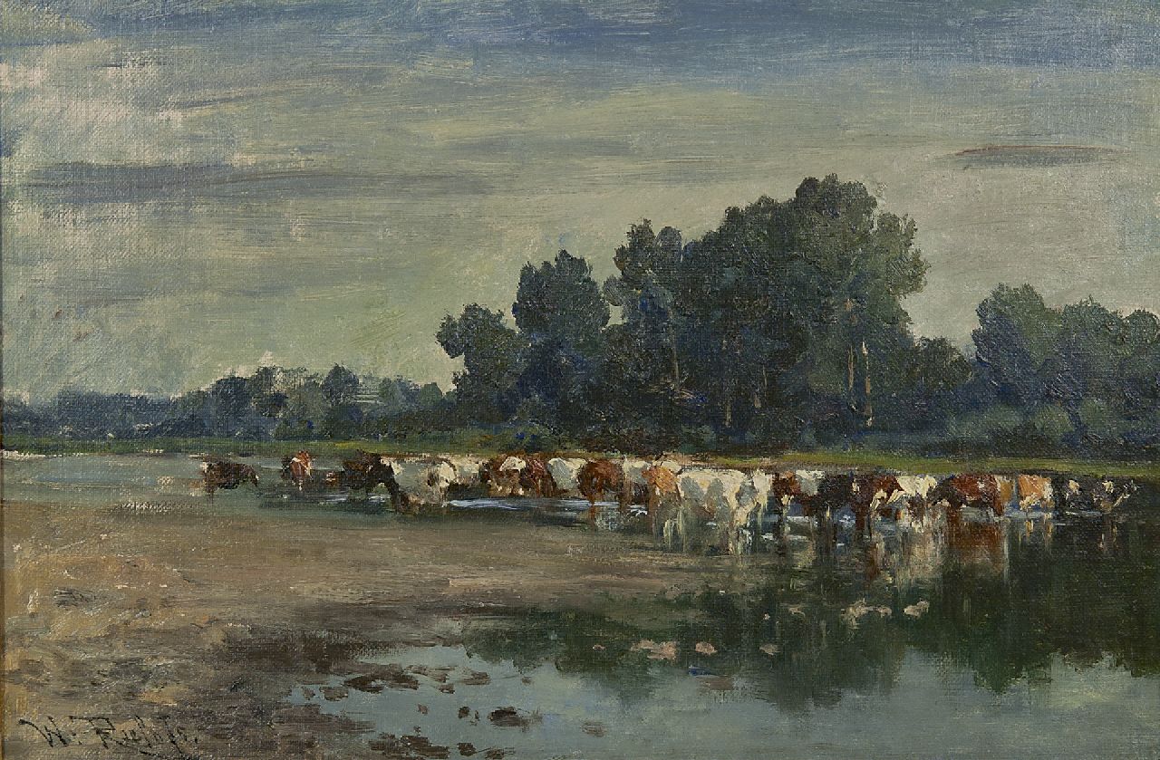 Roelofs W.  | Willem Roelofs, Wadende koeien, olieverf op doek 30,0 x 44,8 cm, gesigneerd linksonder