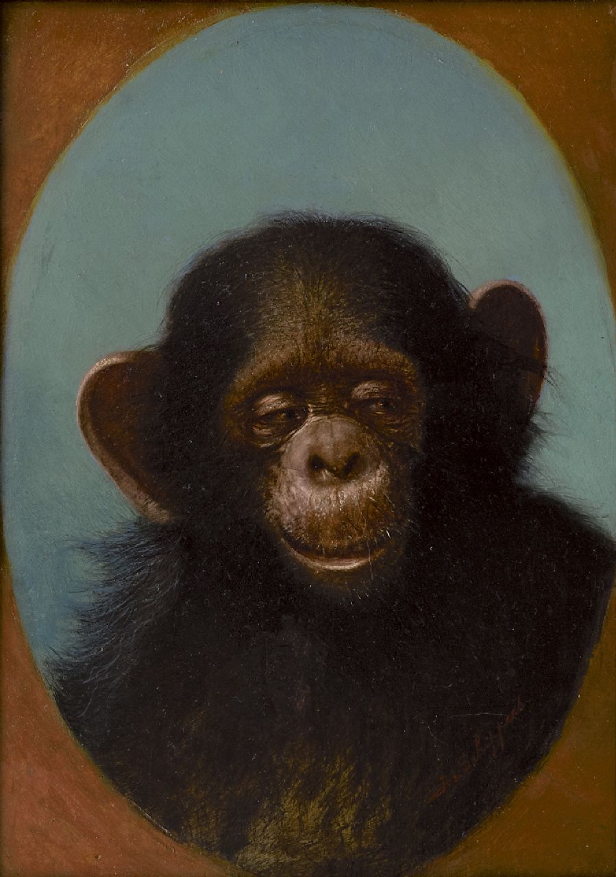 Schippers J.  | Joseph Schippers, Studie van een chimpansee, olieverf op paneel 27,1 x 19,4 cm, gesigneerd rechtsonder en verso gedateerd 'Anvers' 3/2 1929