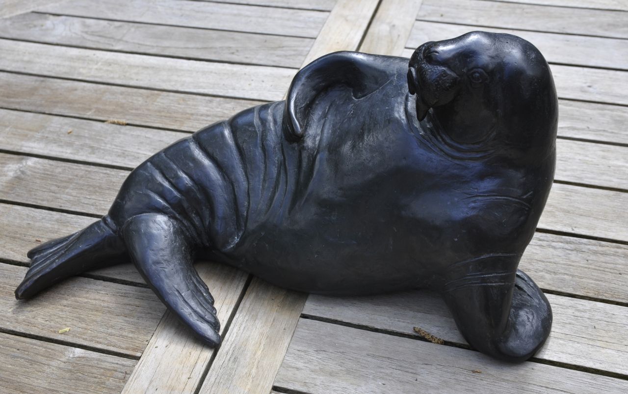 Dachlauer R.  | Reinhard Dachlauer, Walrus, brons 18,0 cm, gesigneerd met monogram op rand achterkant