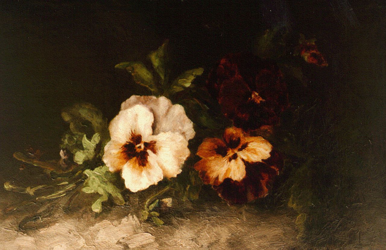 Margaret Meijer | Viooltjes, olieverf op doek, 27,5 x 40,0 cm, gesigneerd r.o.