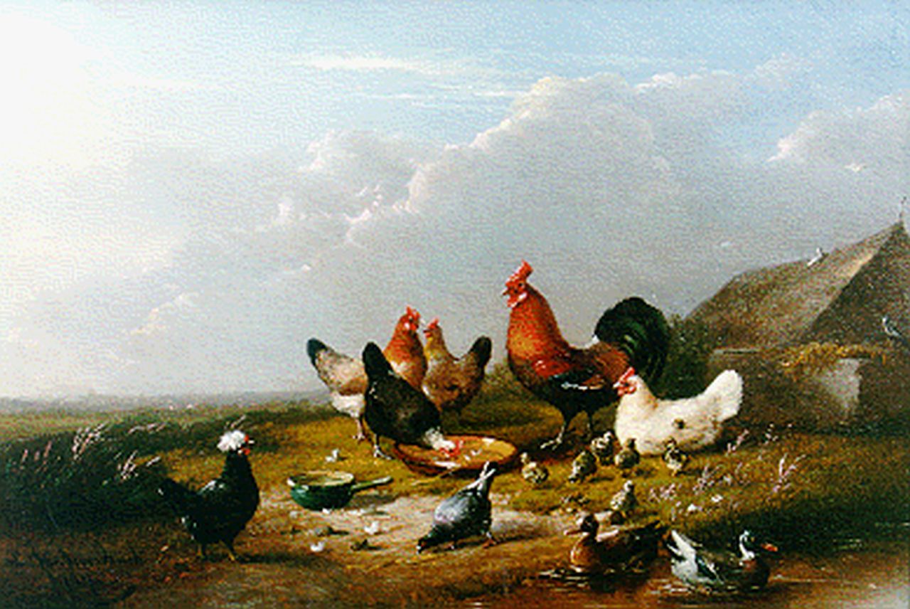 Severdonck F. van | Frans van Severdonck, Pluimvee voor een boerderij, olieverf op paneel 17,0 x 24,8 cm, gesigneerd linksonder en gedateerd 1871