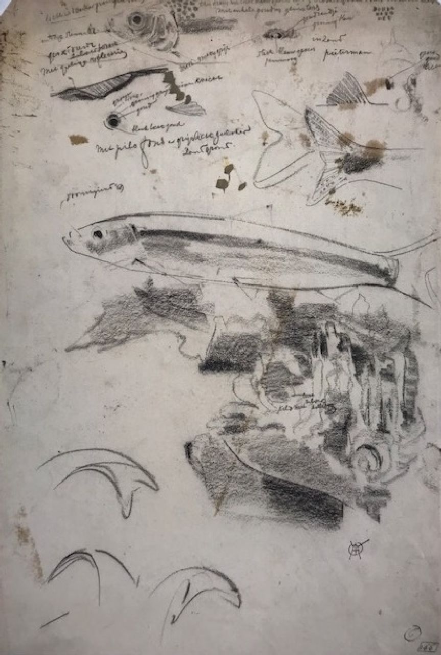 Dijsselhof G.W.  | Gerrit Willem Dijsselhof | Aquarellen en tekeningen te koop aangeboden | Kleurstudie van aquariumvissen, houtskool op papier 42,1 x 28,6 cm, gesigneerd rechtsonder met monogram