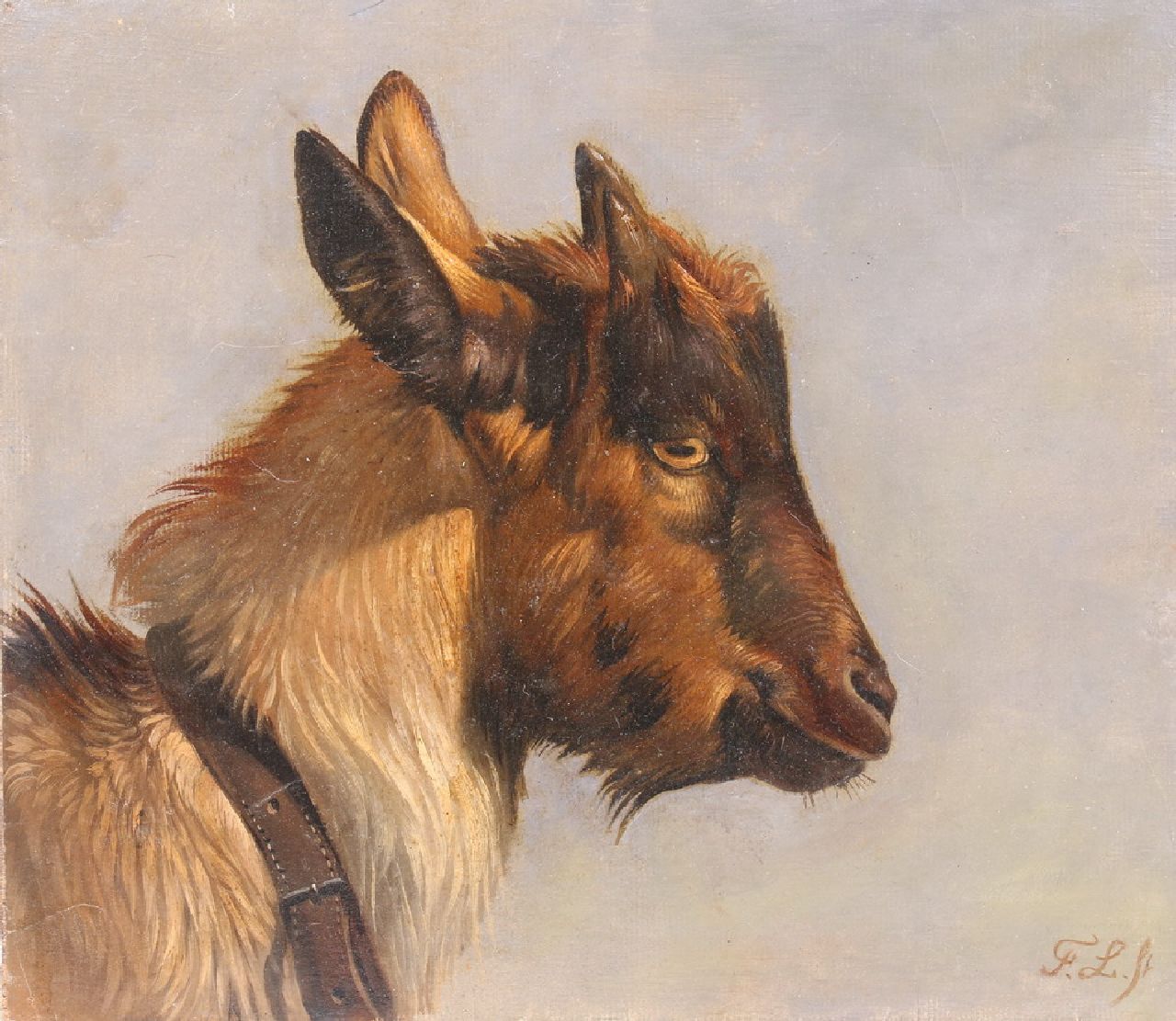 Lebret F.  | Frans Lebret | Schilderijen te koop aangeboden | Kop van een geitenbokje, olieverf op papier op paneel 24,5 x 28,1 cm, gesigneerd rechtsonder met initialen
