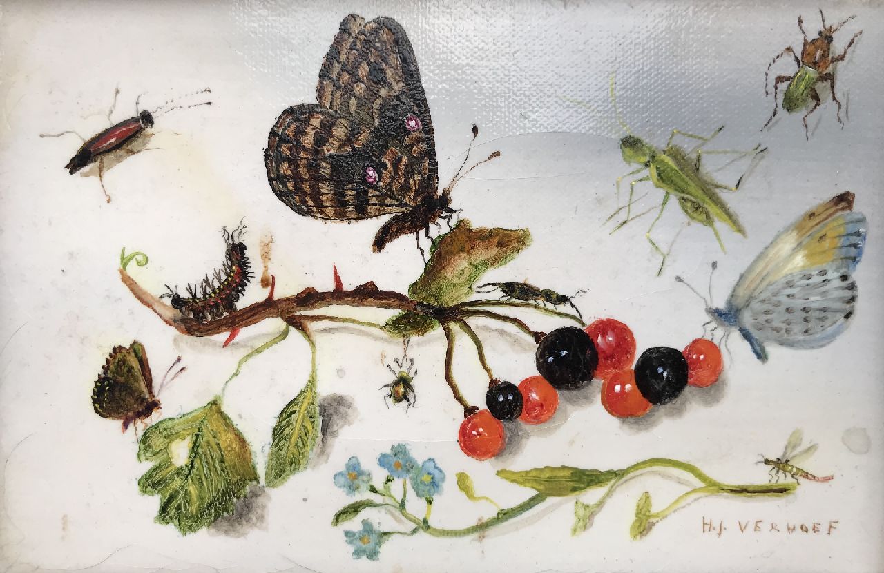 Verhoef H.  | Hans Verhoef | Schilderijen te koop aangeboden | Stilleven met vlinders, insecten en bessen, olieverf op doek 10,3 x 15,5 cm, gesigneerd rechtsonder
